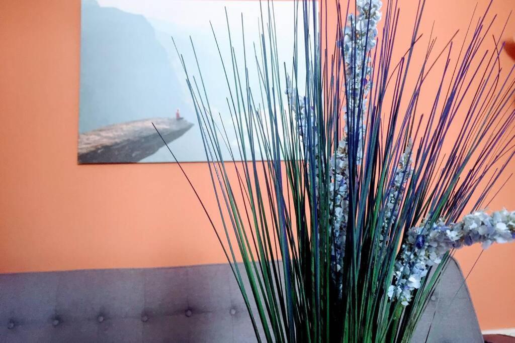 Apartamento 6 De Mayo Ronda Eksteriør bilde
